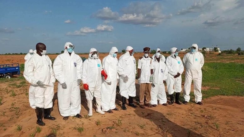 Five Yobe Residents Hospitalized After Rabid Dog Attack