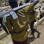 Two Killed, Over 40 Cows Stolen in Suspected Herdsmen Attack on Benue Community