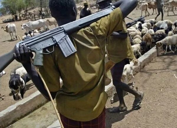 Two Killed, Over 40 Cows Stolen in Suspected Herdsmen Attack on Benue Community