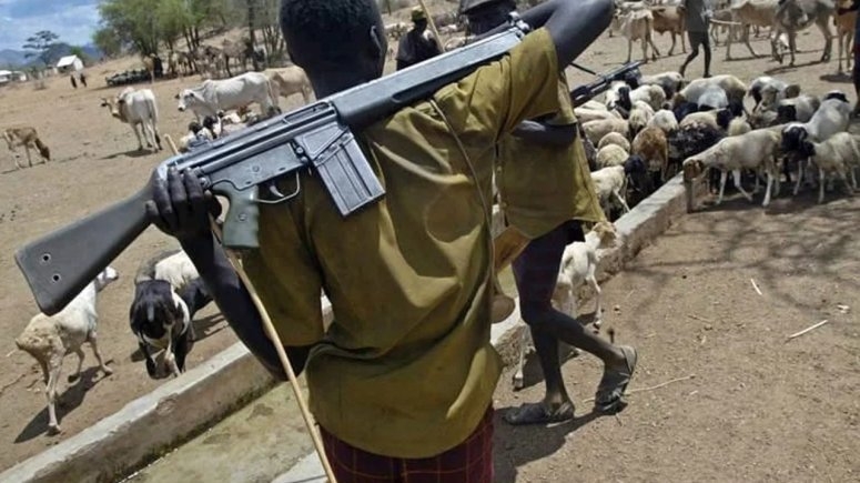 Two Killed, Over 40 Cows Stolen in Suspected Herdsmen Attack on Benue Community