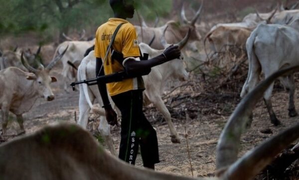 BREAKING: Suspected Herdsmen Attack Benue Community, Prompting Mass Exodus of Residents