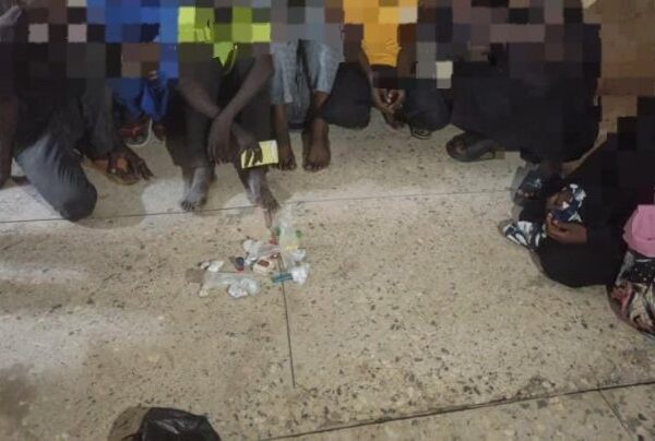 Police Raid Criminal Hotspots in Yobe, Arrest 63 Suspects, Recover Illicit Drugs