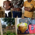 Five Suspects Arrested in Yobe Over Alleged Fraud, Transformer Vandalism and Other Crimes