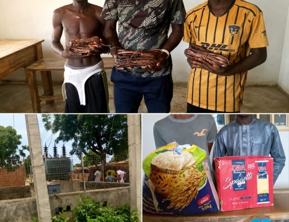 Five Suspects Arrested in Yobe Over Alleged Fraud, Transformer Vandalism and Other Crimes