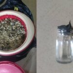 Bauchi Bride Allegedly Poisons Husband 40 Days After Wedding