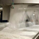 Dangote Sugar Raises N485.88bn in Rights Issue with 102.6% Subscription Rate