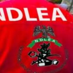 NDLEA Issues Warning Over Circulating Cannabis-Infused Cookies and Gummies