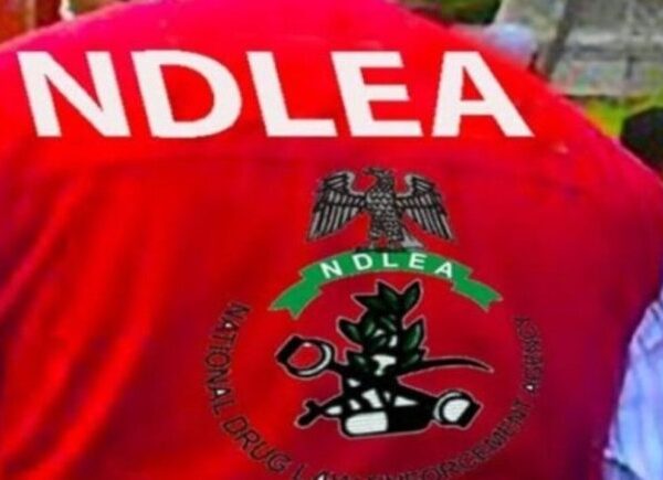 NDLEA Issues Warning Over Circulating Cannabis-Infused Cookies and Gummies