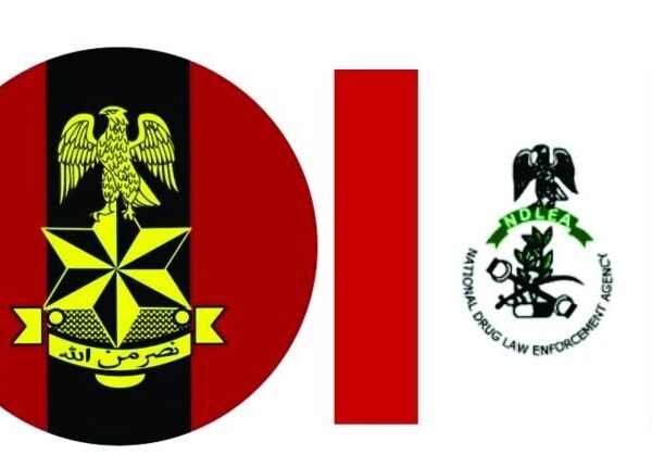 NDLEA and Army Raid Edo Drug Hub, Seize 604.5kg of Skunk Marijuana