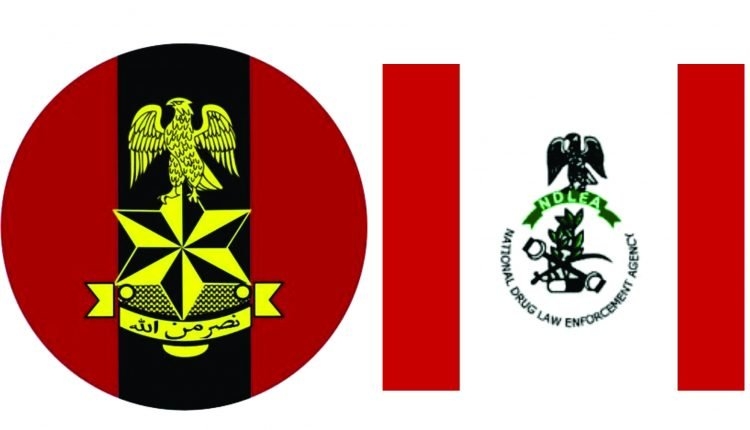 NDLEA and Army Raid Edo Drug Hub, Seize 604.5kg of Skunk Marijuana