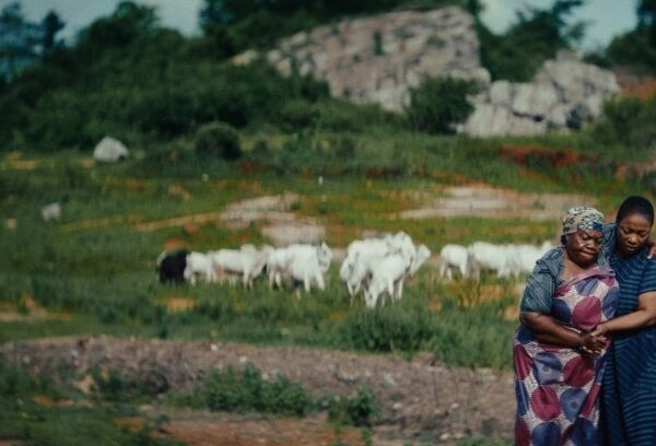 Damilola Orimogunje’s “Dear Ajayi” Breaks Ground as First Nigerian Film in Venice Days Competition