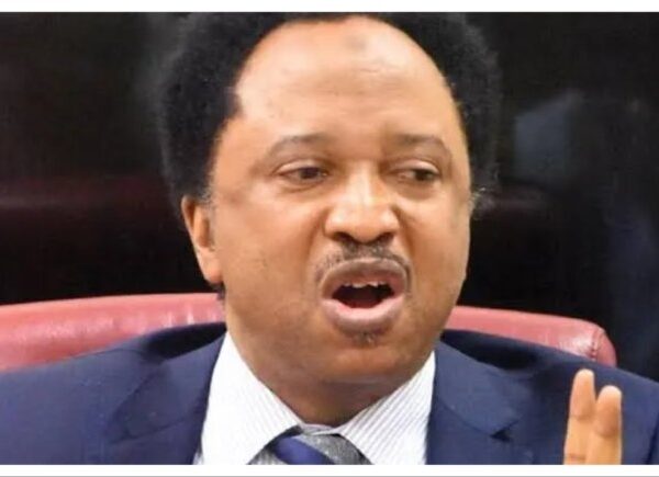 Shehu Sani: Atiku and Obasanjo’s Political Rivalry Will Continue Until One Dies