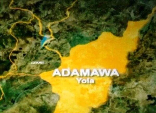 Adamawa Man Arraigned for Stealing 27 Pieces of Women’s Underwear