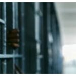 Five Men Sentenced to 39 Years in Jail After Police Crack Down on £1.65m UK-Vietnam Smuggling Ring