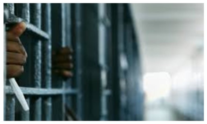 Five Men Sentenced to 39 Years in Jail After Police Crack Down on £1.65m UK-Vietnam Smuggling Ring