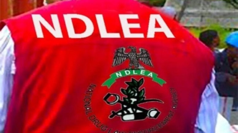 NDLEA Arrests and Repatriates Fugitive Drug Kingpin After Seizing 49.7kg of Heroin