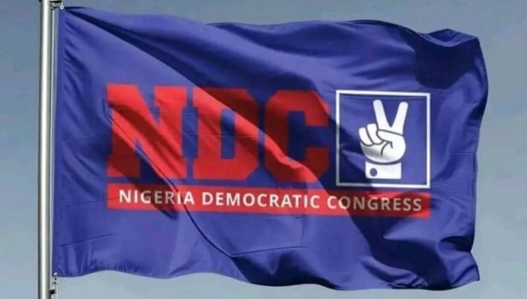 NDC Raises Concerns Over Enugu LG Polls, Commends Peaceful Conduct