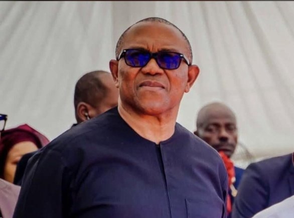 2027: Nigerians vs APC-Led Government