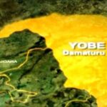 Yobe Electoral Commission Kicks Off Candidate Screening for September 26 Council Elections