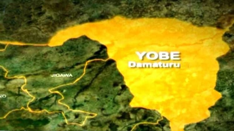 Yobe Electoral Commission Kicks Off Candidate Screening for September 26 Council Elections