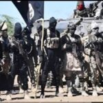 17 ISWAP-Linked Fighters Surrender to Nigerian Troops Amid Factional Clashes and Hardship in Borno