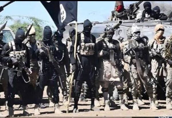 17 ISWAP-Linked Fighters Surrender to Nigerian Troops Amid Factional Clashes and Hardship in Borno