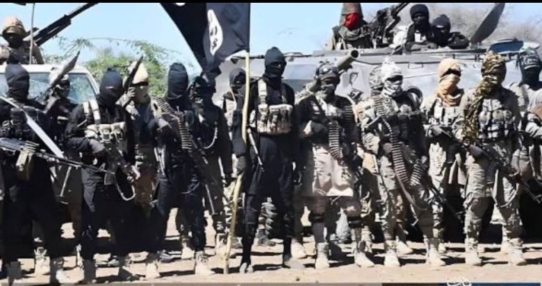 17 ISWAP-Linked Fighters Surrender to Nigerian Troops Amid Factional Clashes and Hardship in Borno