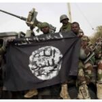 Boko Haram Attacks Adamawa Military Base, Kills Three Soldiers and Forest Guard