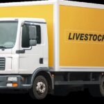Livestock Feeds Falls 9.8% After More Than Doubling in Two Weeks