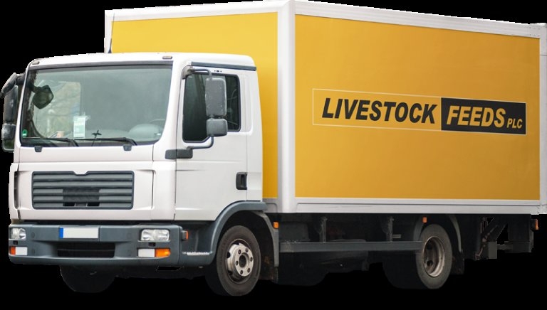 Livestock Feeds Falls 9.8% After More Than Doubling in Two Weeks