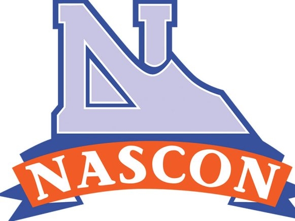 NASCON Plunges 9.5% to N171 to Lead Major Stock Declines